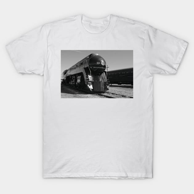 Streamline 2 T-Shirt by Rodwilliams